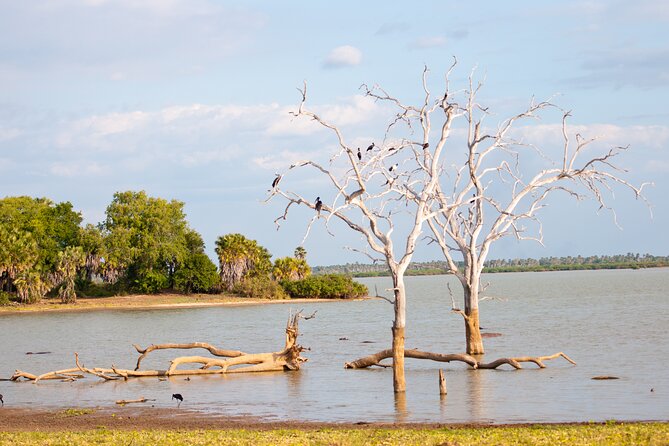3 Day Private Tour to Selous Nyerere National Park From Zanzibar - Tour Itinerary