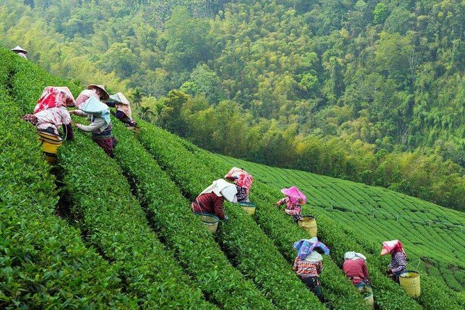 3-Day Remarkable Private Tour of Shanghai, Suzhou and Hangzhou - Pickup and Meeting Points