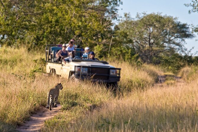 3-Day Safari to Serengeti, Ngorongoro and 1-Day Kilimanjaro Hike - Tour Logistics and Recommendations