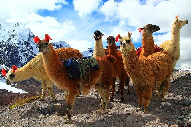 3 - Day Tour in Cusco, Sacred Valley With Machupicchu - Directions