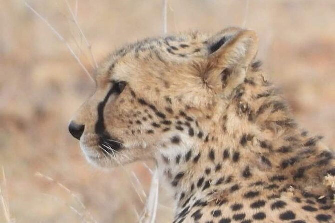 3-Day Tsavo East Safari Private Tour From Malindi - Accommodation Details