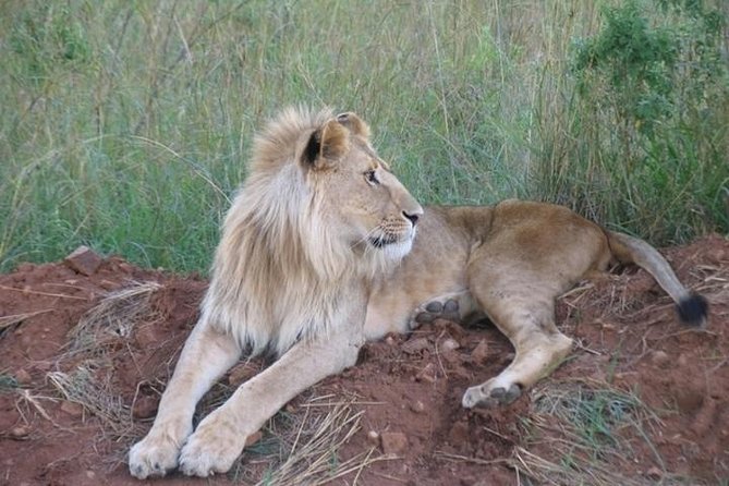 3 Days 2 Night Maasai Mara Safari From Mombasa - Meal Plan