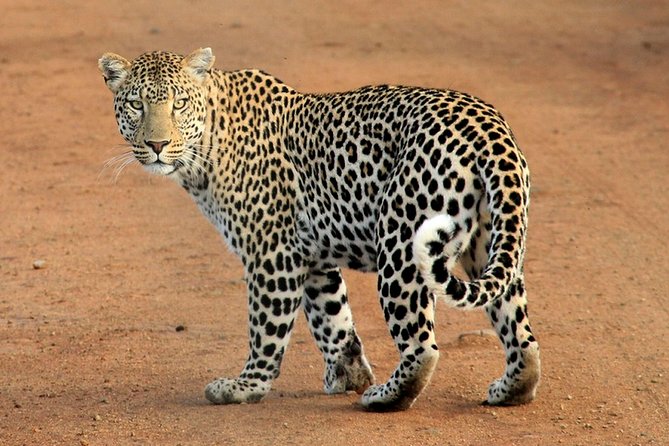 3 Days 2 Nights Amboseli Daily Departures - Booking Information