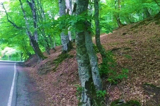 3 Days/2 Nights Kakheti Region Tour Package in Georgia - Booking Information and Process
