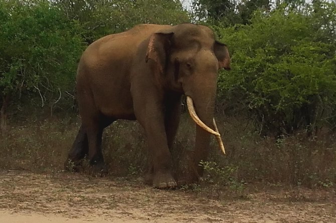 3 Days, 2 Nights Tour - Transportation Logistics