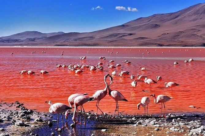 3-Days and 2-Nights Tour Salar Uyuni Ending in Atacama Chile - Pricing and Booking Details