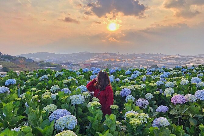3 Days Dalat Impression Tour - Pickup Information