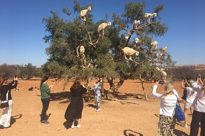 3 Days Desert Tours From Marrakech to Fes - What to Pack