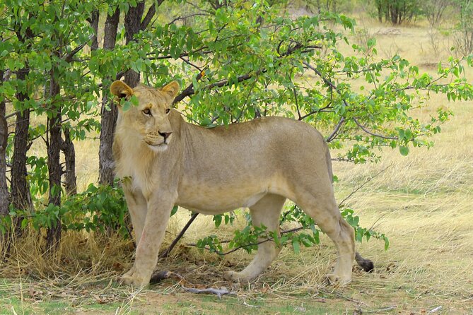 3 Days Etosha National Park Private Camping Tour - Cancellation Policy