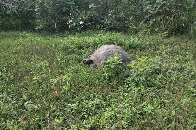 3 Days Galapagos Fast Visit - Important Travel Information