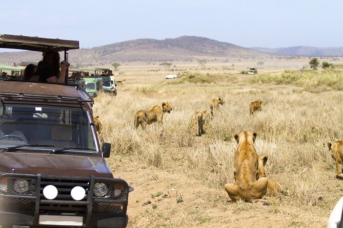 3 Days Group Safari Serengeti & Ngorongoro - Inclusions and Exclusions