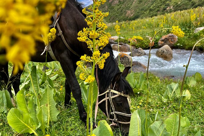 3 Days Horseback Riding to Song Kol Lake From Kyzart Village - Packing Essentials