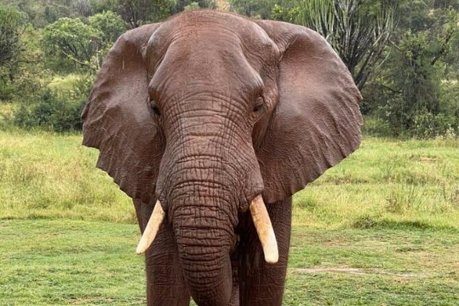 3 Days In Kruger National Park With Panorama Route - Accommodations Included