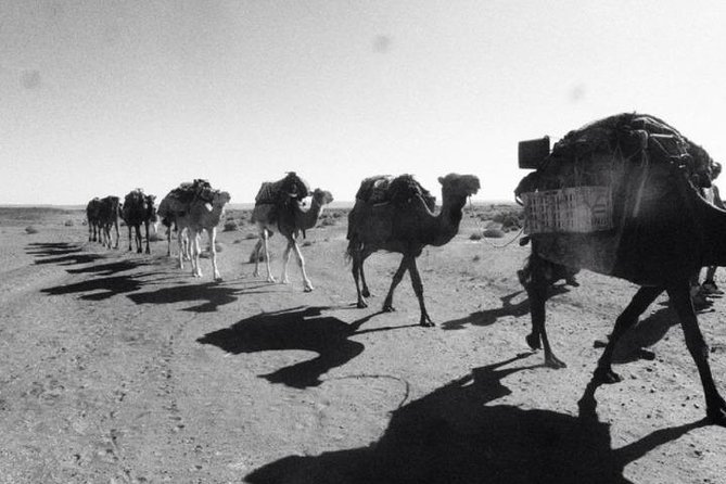 3 Days in the Merzouga Desert From Marrakech to Fes: Luxury Camp - Inclusions and Exclusions