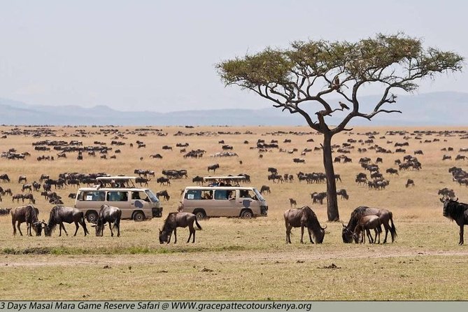 3-Days Masai Mara Group Joining Safari - Daily Departures - Logistics
