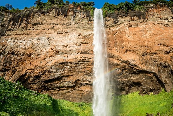 3 Days Mt. Elgon Hiking and Sipi Falls - Day 2: Mt. Elgon Hiking Adventure