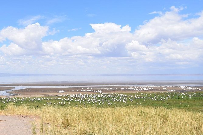 3 Days Ngorongoro-Lake Manyara - Meeting Point Information