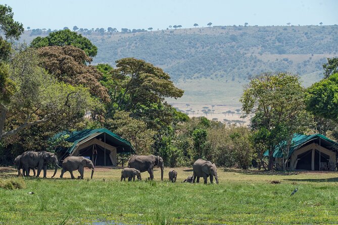 3 Days Ngorongoro Safari - Accessibility Details