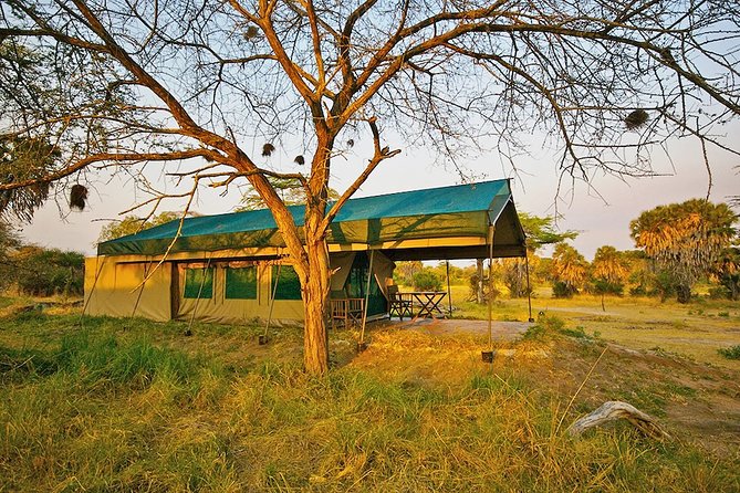 3 Days Nyerere National Park Private Safari - Frequently Asked Questions