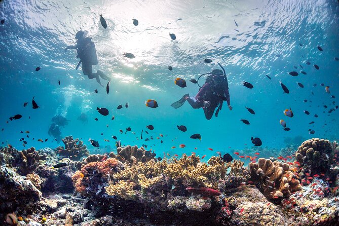 (3 Days) PADI Open Water Diver Course Kota Kinabalu - Pricing Details