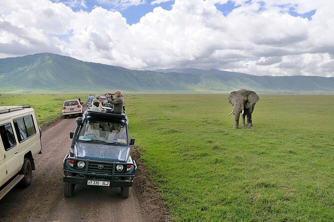 3-Days Private Budget Safari: Tarangire, Ngorongoro & Manyara - Cultural Experiences