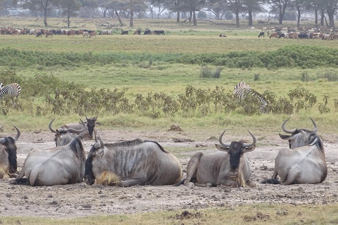 3 Days Safari Start in Nairobi - Amboseli - Tsavo West - End in Mombasa - Additional Information