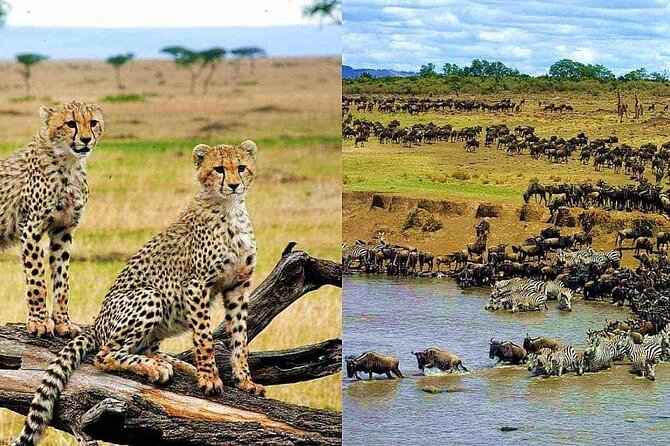 3 Days Safari - Cancellation Policy