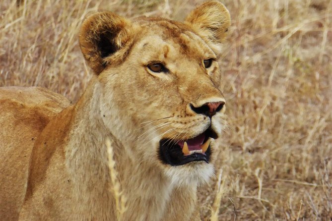 3 Days Samburu Big Five - Accommodation Details