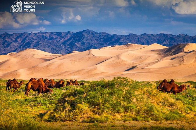 3 Days Semi Gobi Desert and Chinggis Khaan Statue - Tour Guide Details