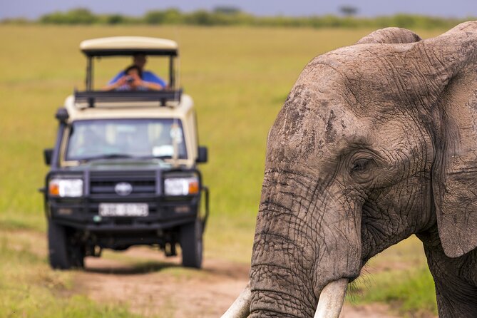 3 Days-Serengeti National Park Iconic Safari - Meals and Dining Options
