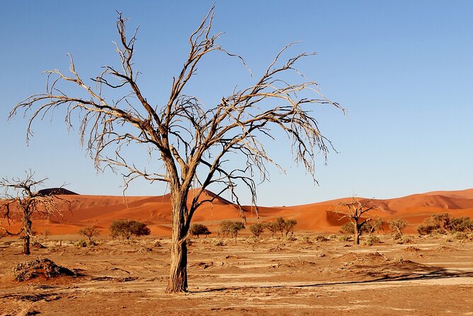 3 Days Sossusvlei Safari (Lodging) Namibia - Exclusions and Additional Costs