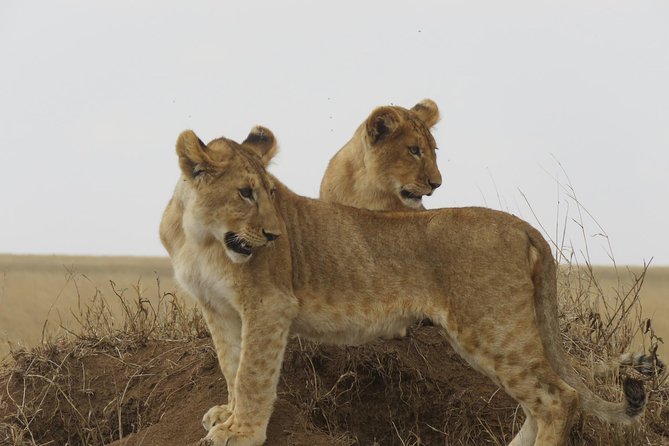 3 Days Tanzania Classic Adventure - Meals Provided