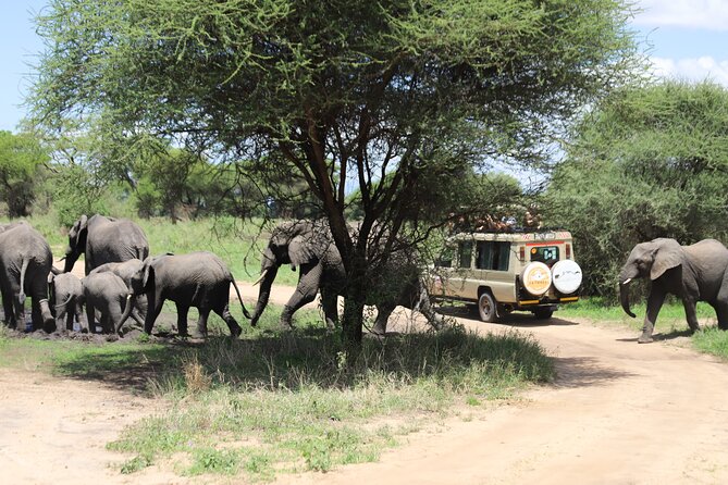3 Days Tarangire| Ngorongoro Crater and Lake Manyara - Pickup Process
