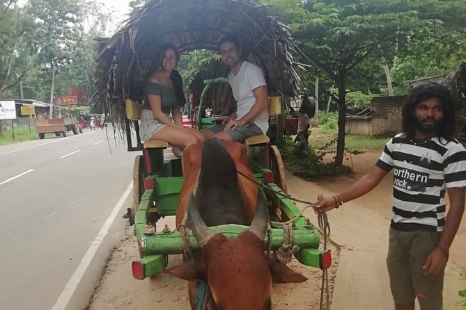 3 Days Tour to Sigiriya, Kandy and Nuwara Eliya From Colombo or Negombo - Booking Information and Pricing