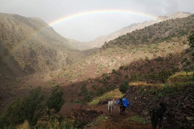 3 Days Trekking in the Berber Village - Accommodation and Meals