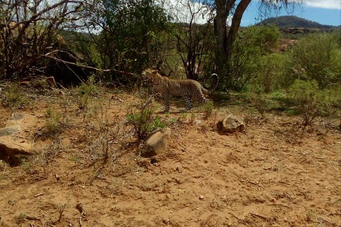 3 Days Tsavo East & Tsavo West Safari ( Minimum 2 Pax) - Tour Group Information
