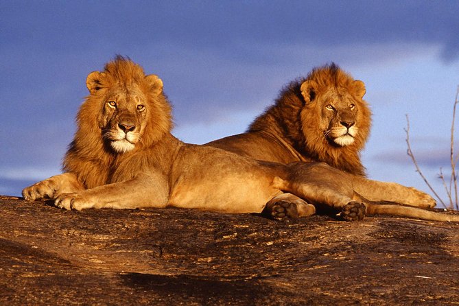 3 Days Tsavo East -Tsavo West Ziwani Package ( Minimum 2 Persons) - Additional Information