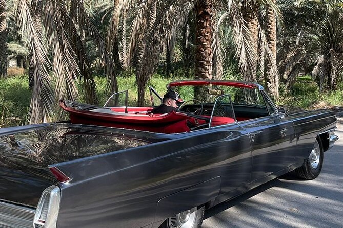 3-hour Muscat Historical Private Tour on the 1963 Cadillac Classic Car - Inclusions and Amenities