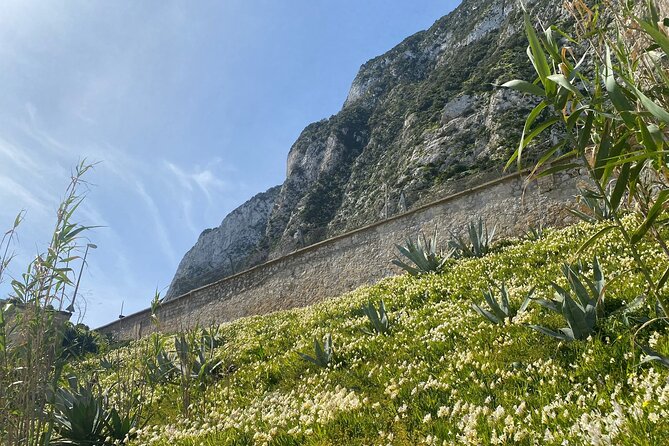 3 Hours Historical Tunnel Shore Excursion of Gibraltar - Start Time and Duration