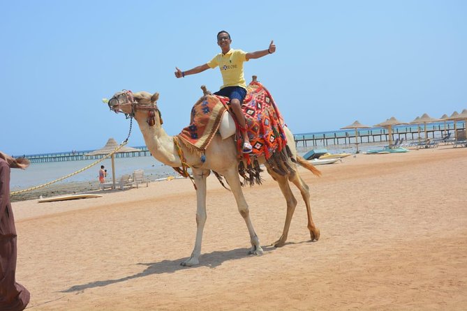3 Hours Sunrise Safari by Quad Bike & Camel Ride With Transfer- Sharm El Sheikh - Inclusions