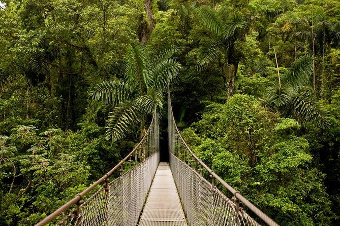 3-in-1 Arenal Hanging Bridges, La Fortuna Waterfall and Volcano Hike - Booking Details
