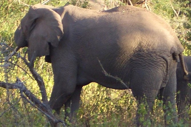 3-Night Safari From Nairobi: Lake Nakuru and Masai Mara - Safari Itinerary Overview