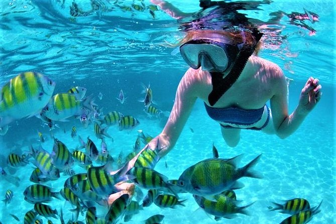 3 Watersports + Ile Aux Cerfs Speedboat Cruise + BBQ Lunch & Drinks + Waterfall - Inclusions in the Tour Package