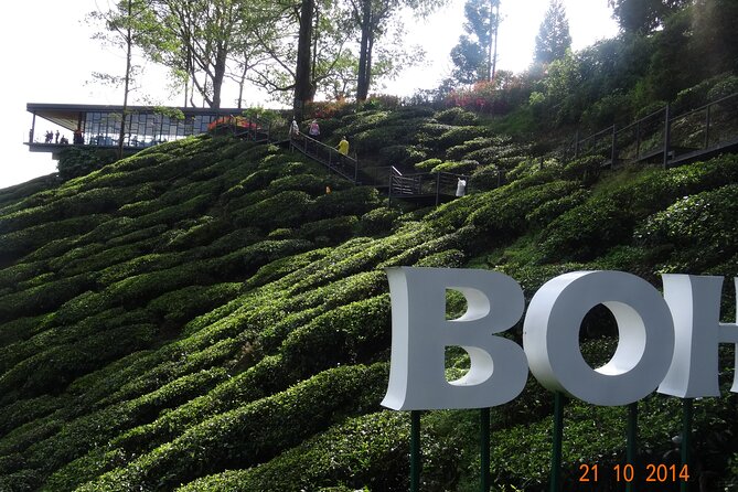 3D 2N Tour Kuala Lumpur - Cameron Highlands - Taman Negara - Kuala Lumpur. - Booking Confirmation
