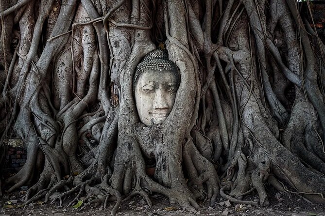 3D2N Ayutthaya & Lopburi Experience at Riverside Resort - Activity Highlights