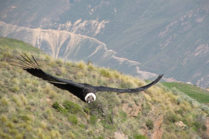 3days: Colca Canyon Trek 3d/2n - Health and Safety Precautions