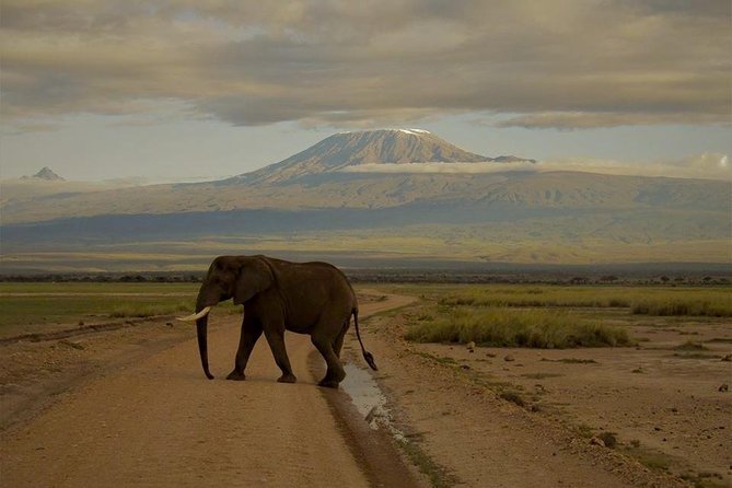 3days Maasai Mara Safari Joining a Group - Start Time Information