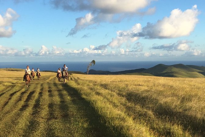 4-Day Adventure Tour in Easter Island - Not Included Services