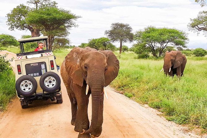4-Day Discover Maasai Mara and Lake Nakuru Safari on 4x4 Jeep - Accommodation Details