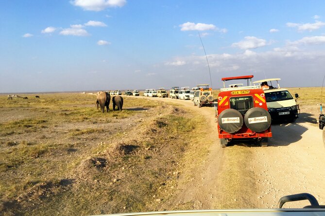 4-Day Kenya Masai Mara Safari From Nairobi - Important Booking Information